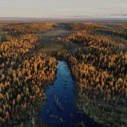 Photo #6716434