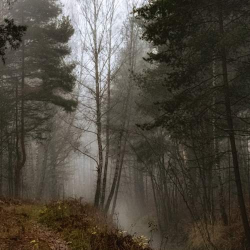 Photo #6716486