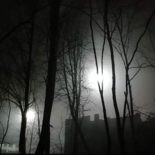 Photo #6716608