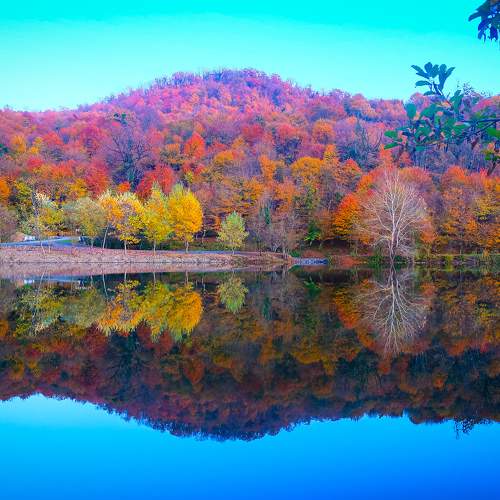 Photo #6716639