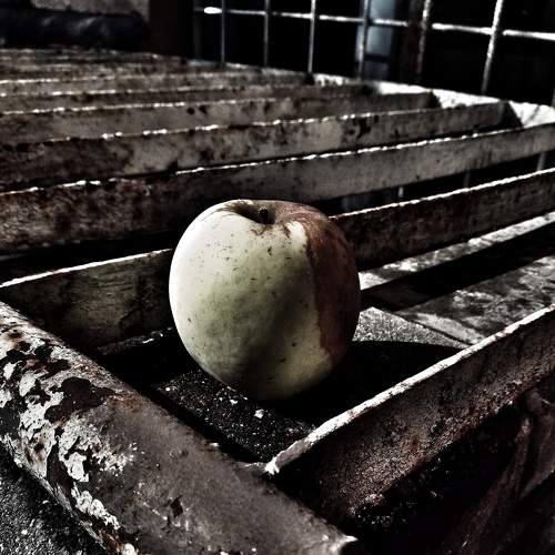 Photo #6716652