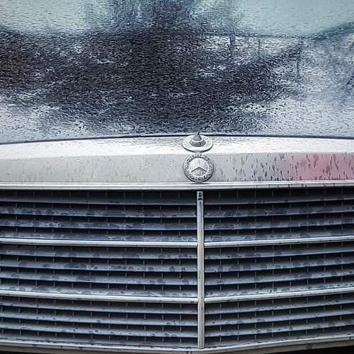 Photo #6717018