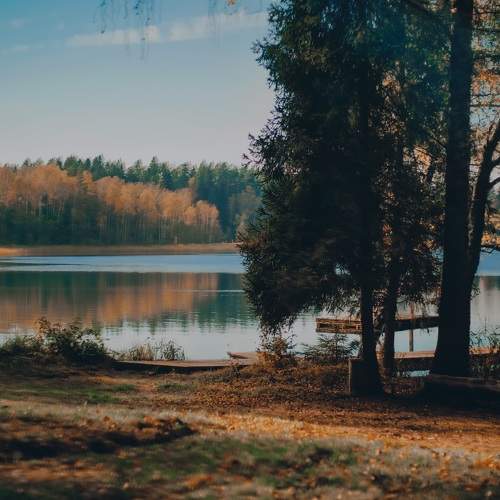 Photo #6717094