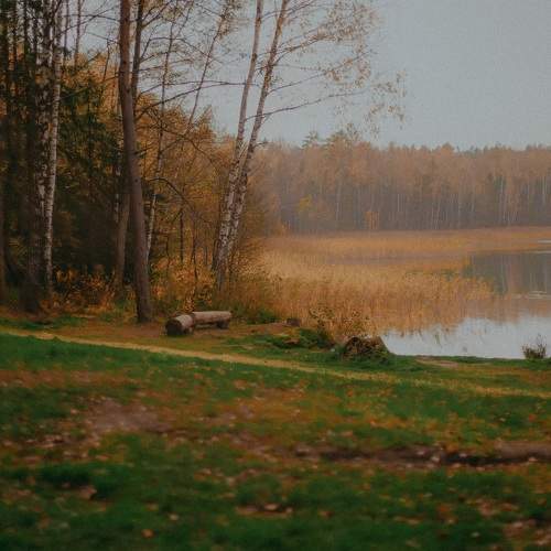 Photo #6717101