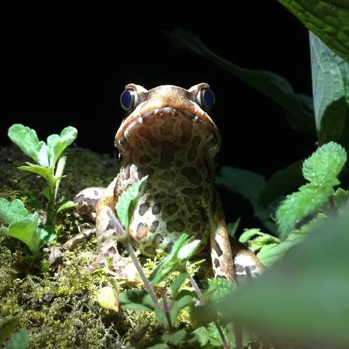 Photo #6717400