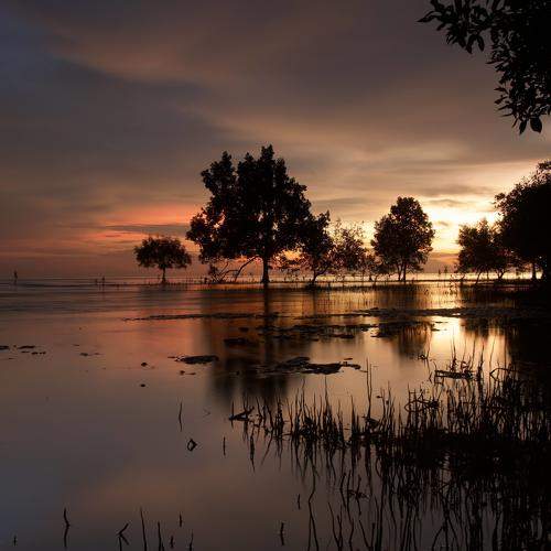 Photo #6717440
