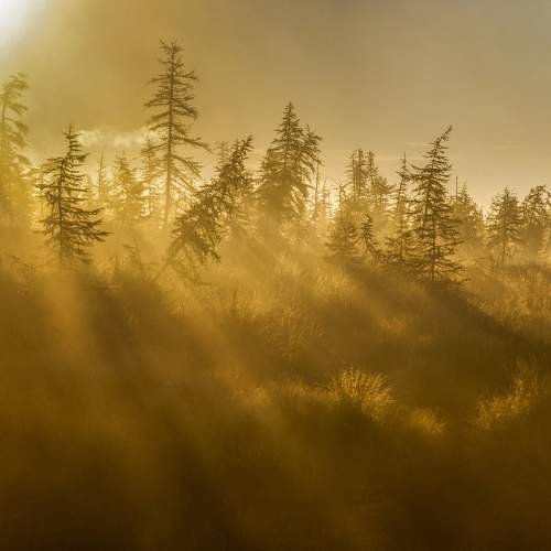 Photo #6717801