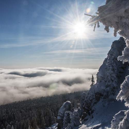 Photo #6717802