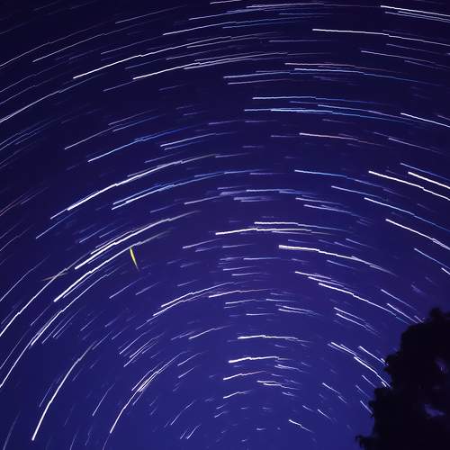 Photo #6718005