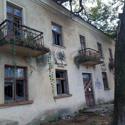Photo #6718590