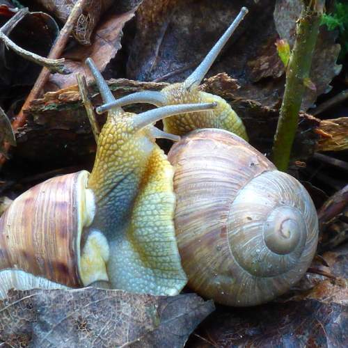 Photo #6718604