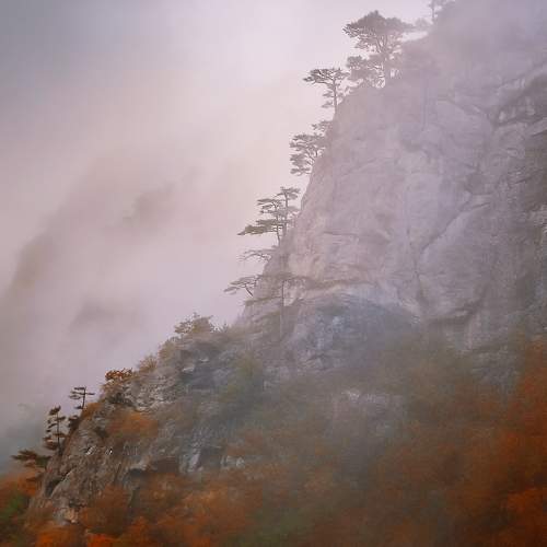 Photo #6718838