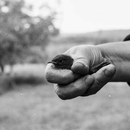Photo #6718922