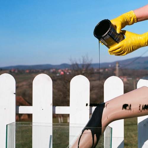 Photo #6718970