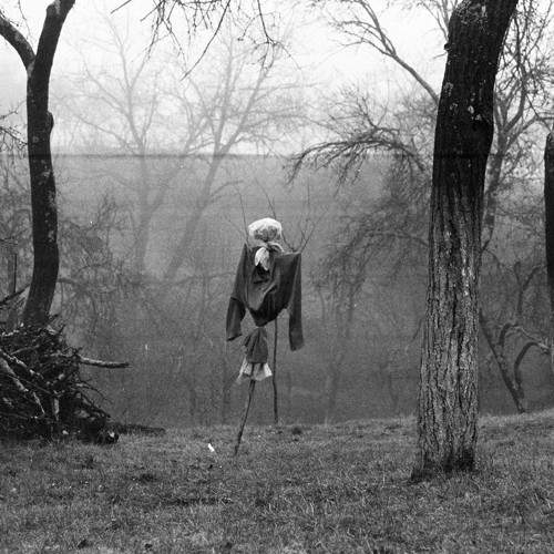 Photo #6718975