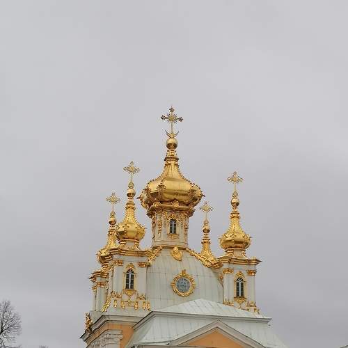 Photo #6719010
