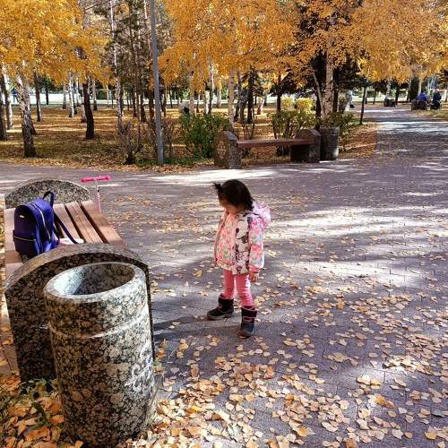 Photo #6719203