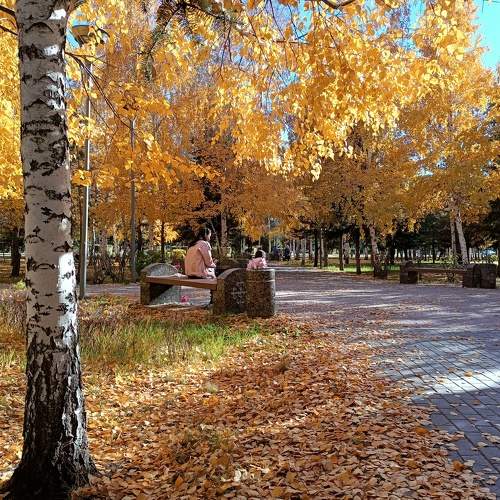 Photo #6719204