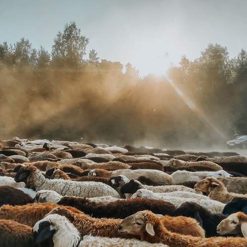 Photo #6719339