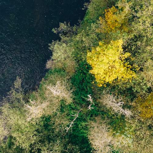 Photo #6719399