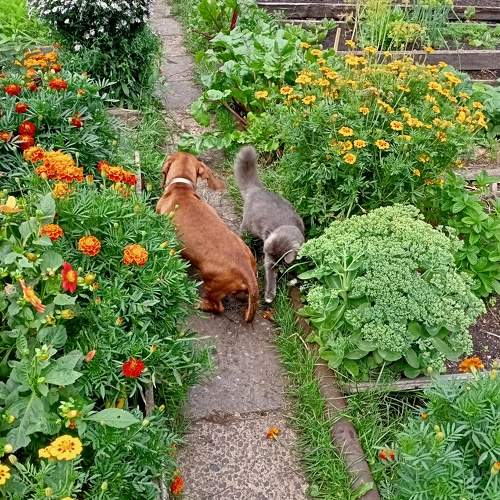 Photo #6719546