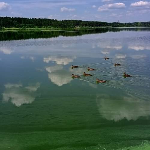 Photo #6719558
