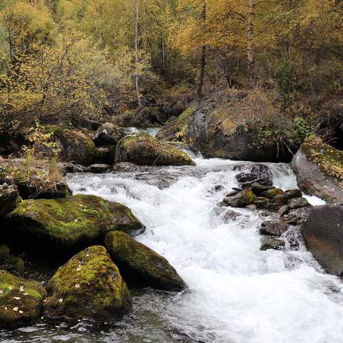 Photo #6719935