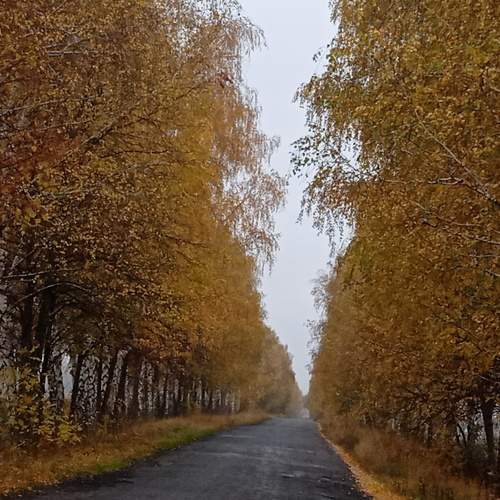 Photo #6719947
