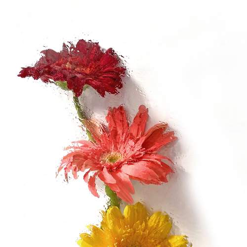 painted flower