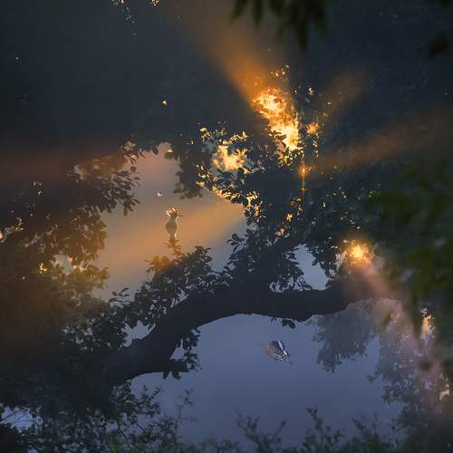 light mist
