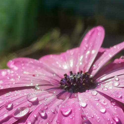 Photo #6720131