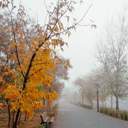Photo #6720136