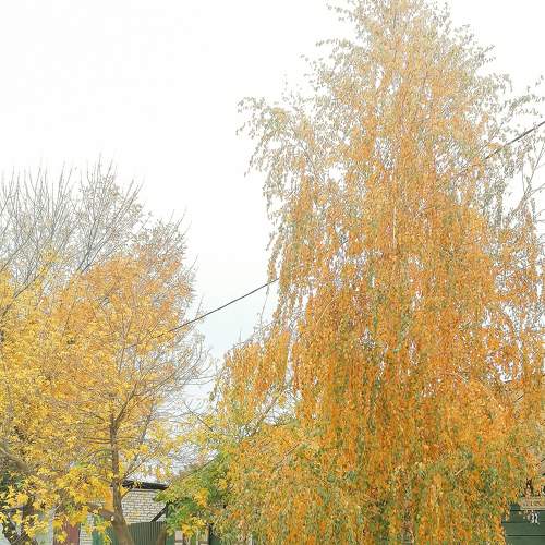 Photo #6720140
