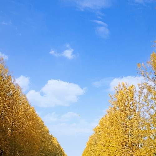Photo #6720230