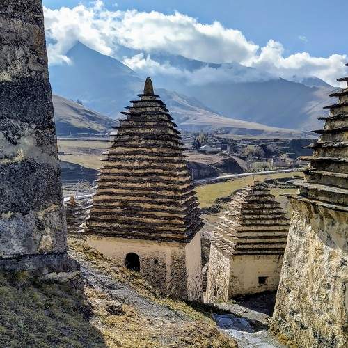 Photo #6720264