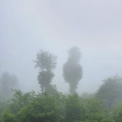 Photo #6720400