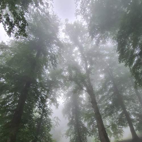 Photo #6720403