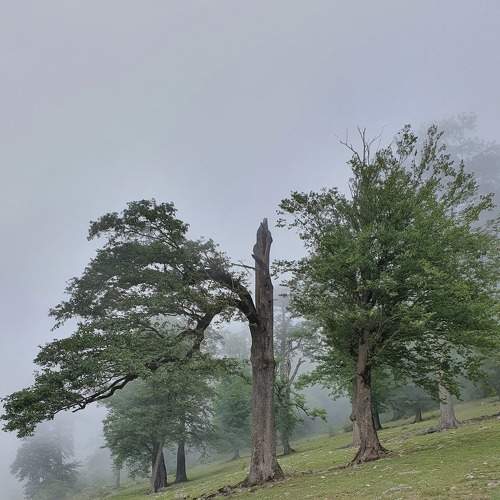 Photo #6720404