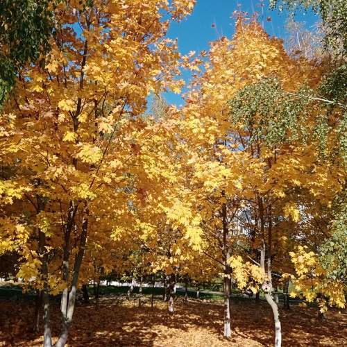 Photo #6720417