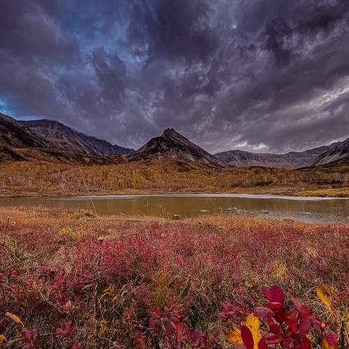 Photo #6720436