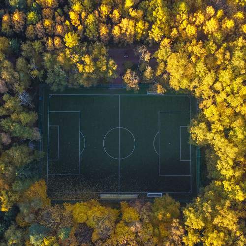 Photo #6720481