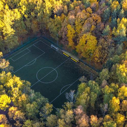 Photo #6720482