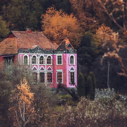 Photo #6720646