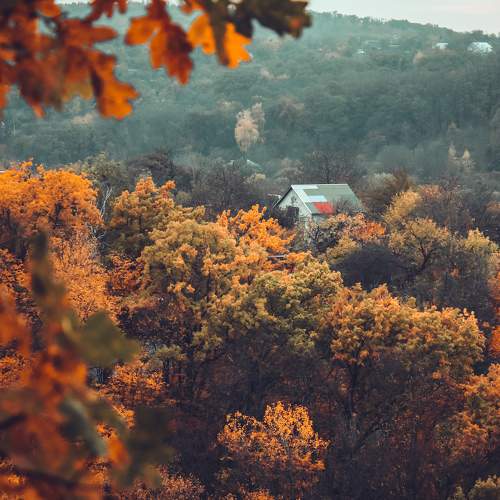 Photo #6720655