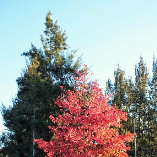 Photo #6720804