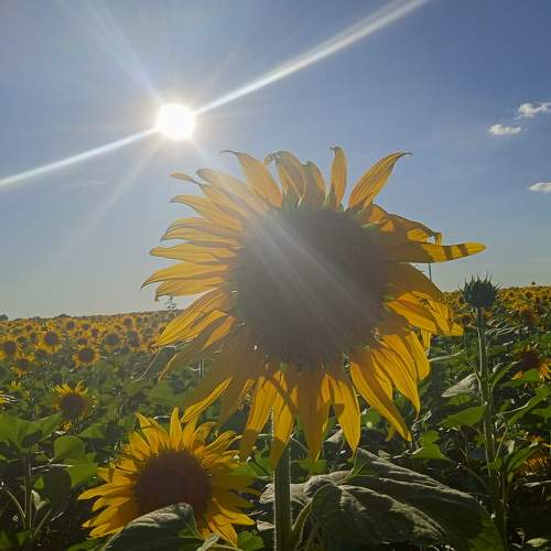 Photo #6720815