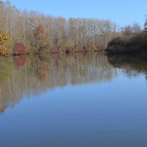 Photo #6720959