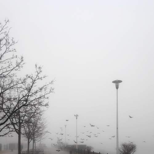 Photo #6720993