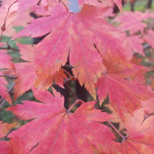 Photo #6721188