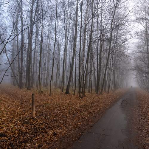 Photo #6721194